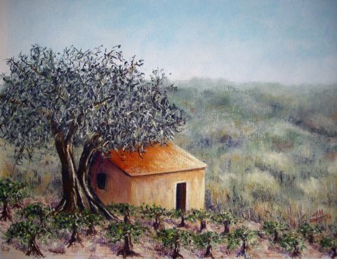 A l'ombre de l'olivier